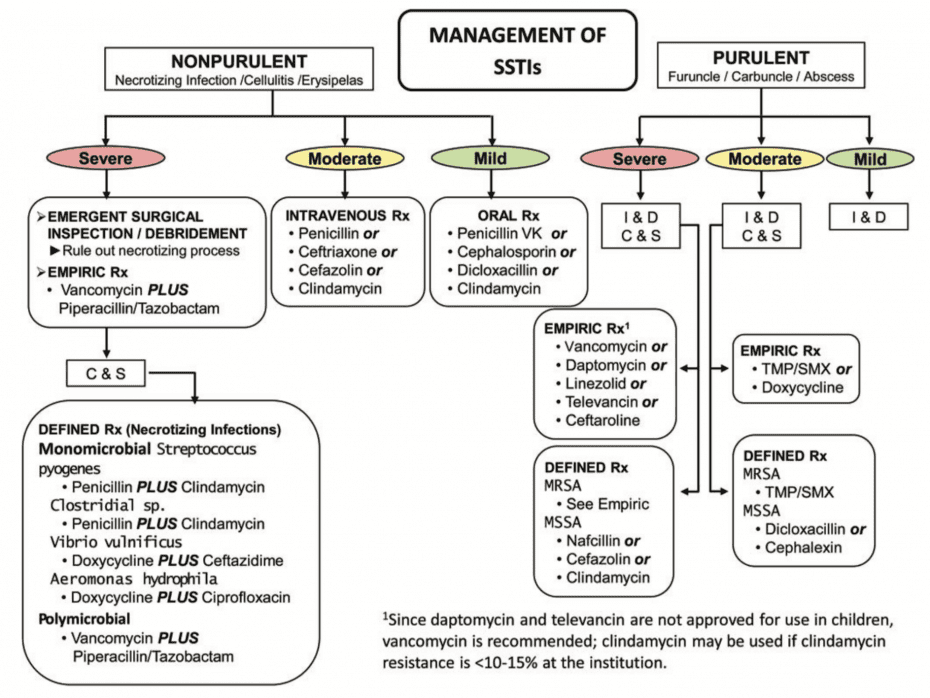 Initial Antibiotic Choice in Cellulitis REBEL EM