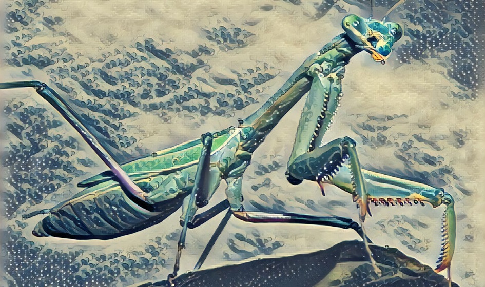 HackTheBox - Mantis | Booj