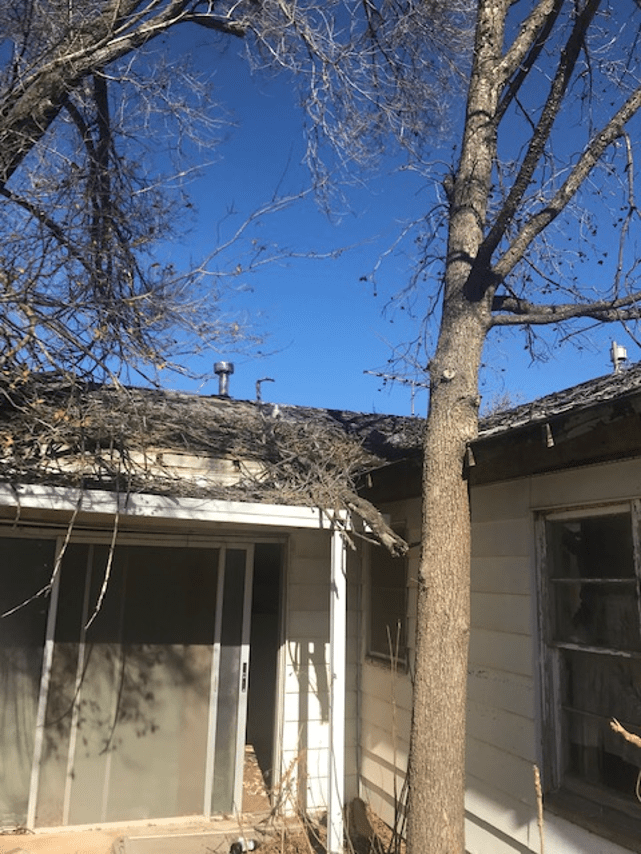 Reboot Texas » Quitaque