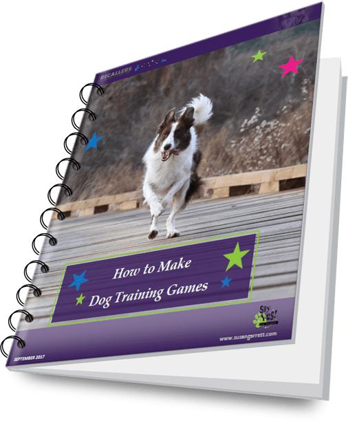 Video 3 How to Make Your Own Dog Training Games Say Yes Dog Training