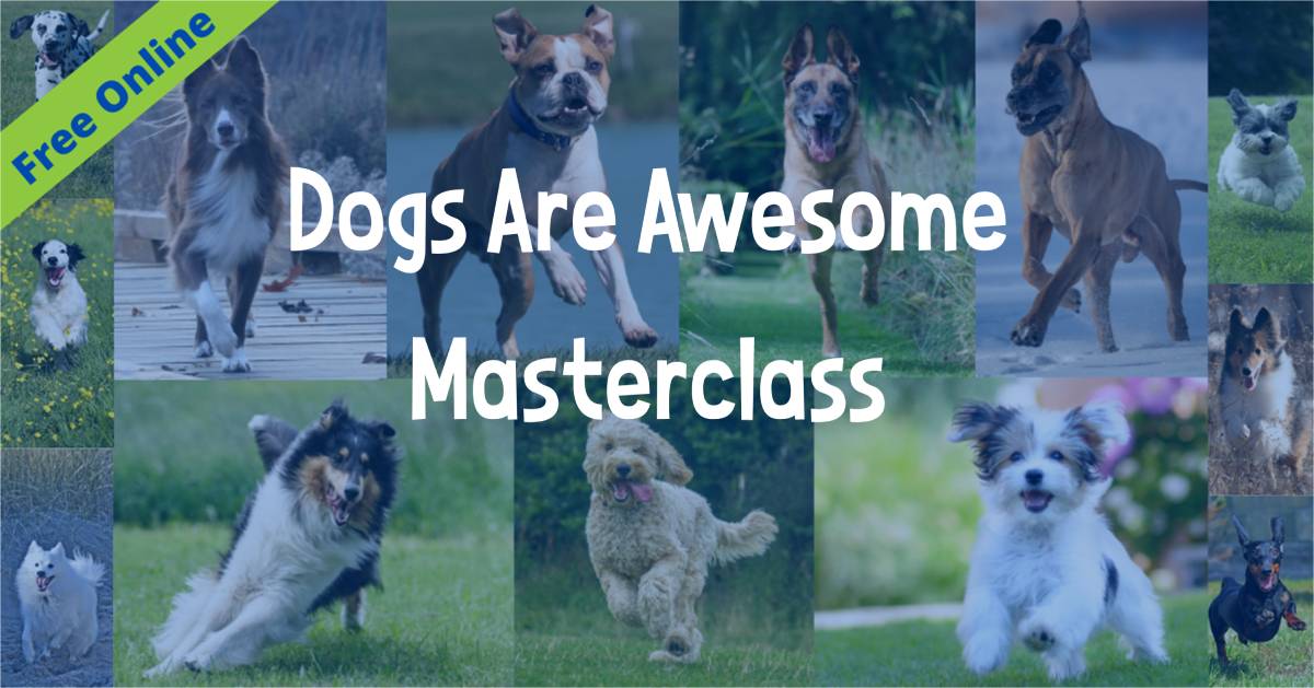 Join Dogs Are Awesome Masterclass Say Yes Dog Training