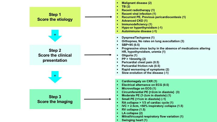 Cardiac Tamponade cardiac tamponade RECAPEM RecapEM Cardiac Tamponade cardiac tamponade RECAPEM RecapEM