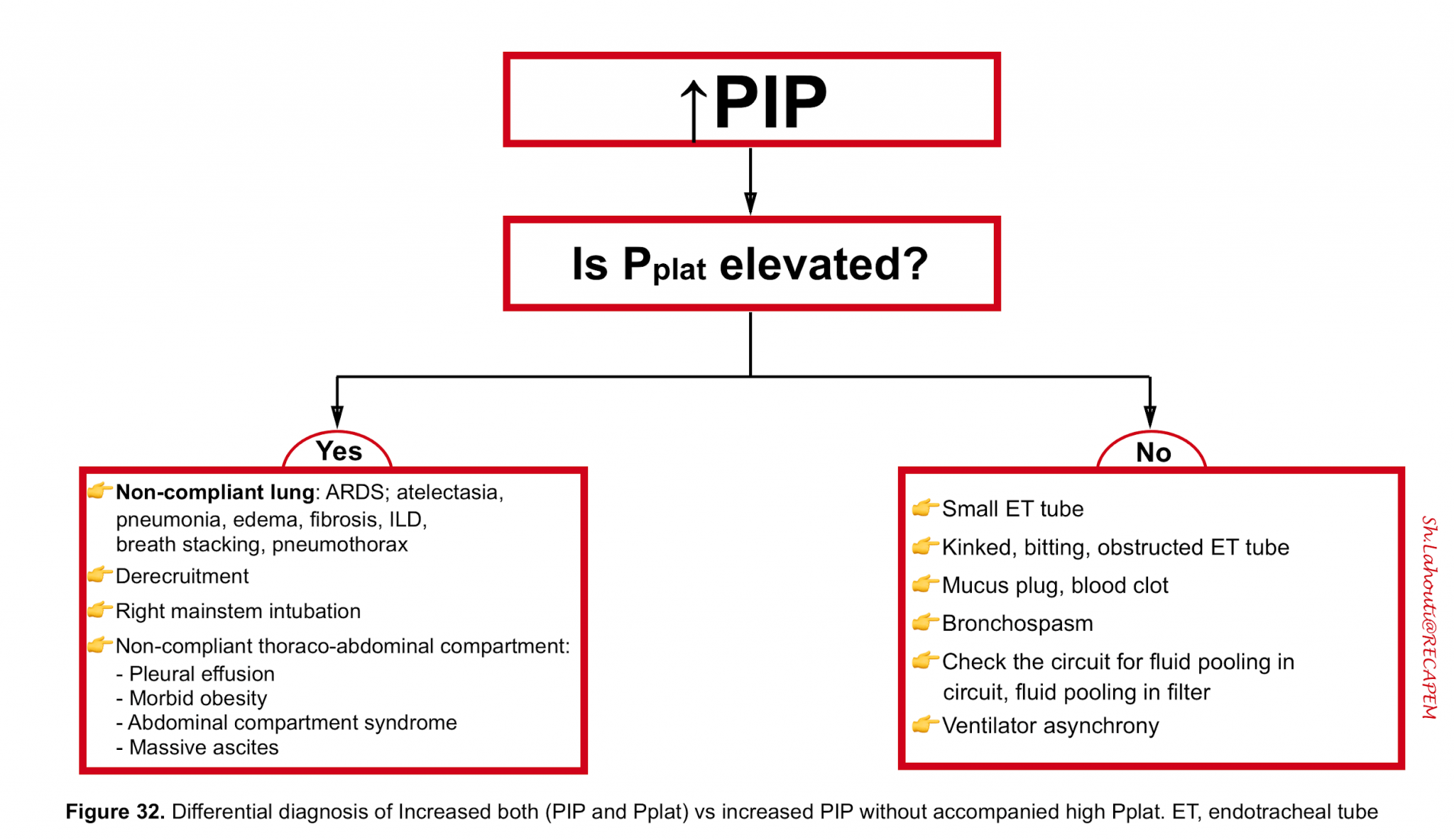 Mechanical Ventilation From Bench to The Bedside Review RECAPEM