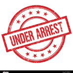 Bay Recent Arrests Mugshots Inmate Booking List