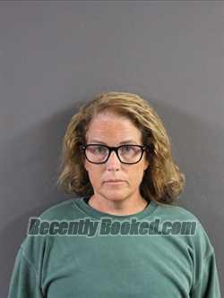 Rebecca Sue Gutierrez Mugshot Arrest Info Coles County Il