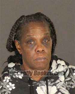 Recent Booking / Mugshot for VANESSA RENE LUNDY in St Clair County