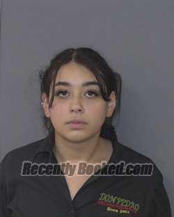 Recent Booking / Mugshot for ROXANN HELEN SANTILLAN in Union County