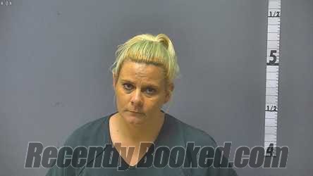 Recent Booking Mugshot For Erica Nicole Forbus In Augusta County