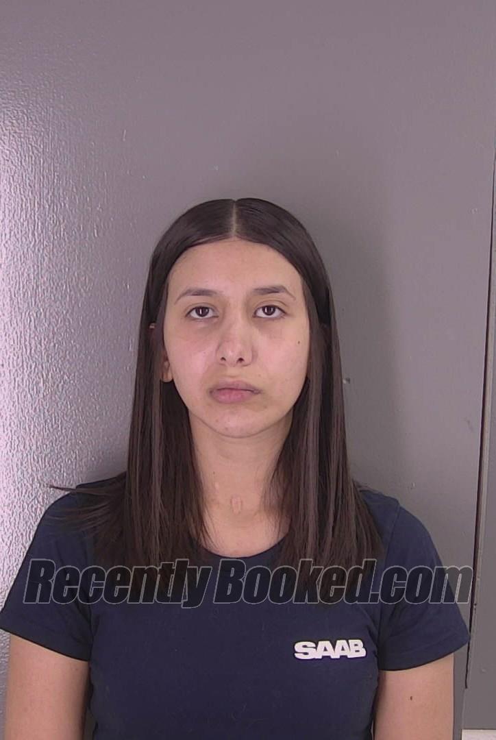 Recent Booking / Mugshot for SVETLANA VICTORIA RUDENKO in Fauquier
