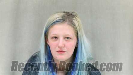 Recent Booking Mugshot For Elexus Summer Brown In Mingo County West
