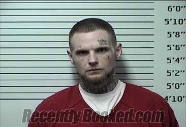 Robert Brandon Rigsby Mugshot Arrest Info Rhea County Tn