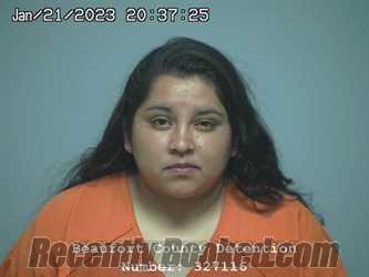 Recent Booking / Mugshot for MAYDEL ZULEMA TORRES-TINOCO in Beaufort