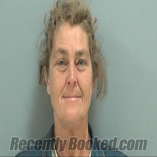 Recent Booking / Mugshot for DEBRA ANN BRIGHT in Darlington County