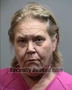 Recent Booking / Mugshot for PAULA MCNULTYROMANI in County