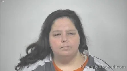 Rockbridge Countyindependent City Arrests Mugshots Virginia