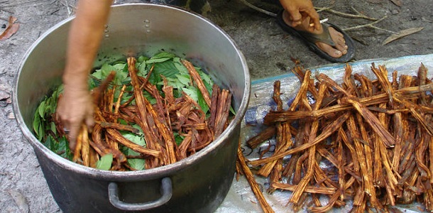 como hacer ayahuasca