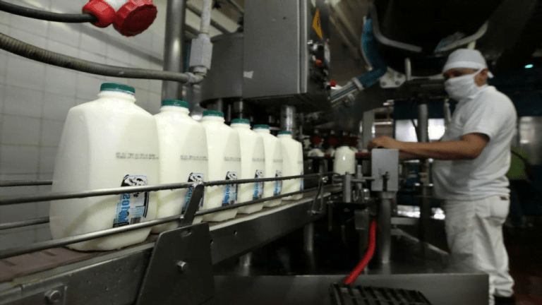 Procesamiento de la leche Recetasis