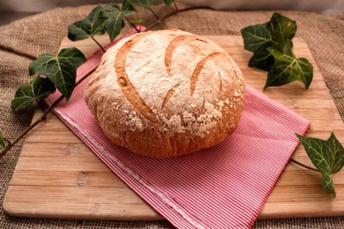 Pan casero con harina común, fácil y rápido Recetuquis