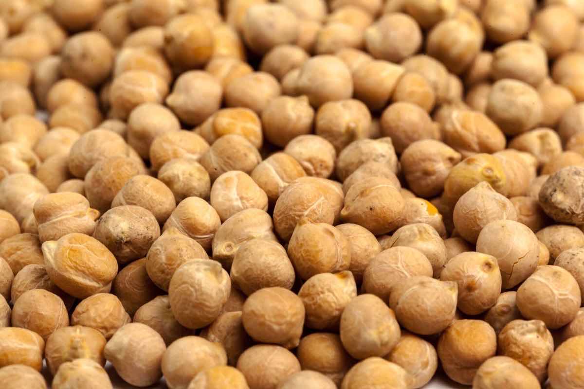 Cuántas calorías tienen los garbanzos y cómo es mejor comerlos Recetuquis