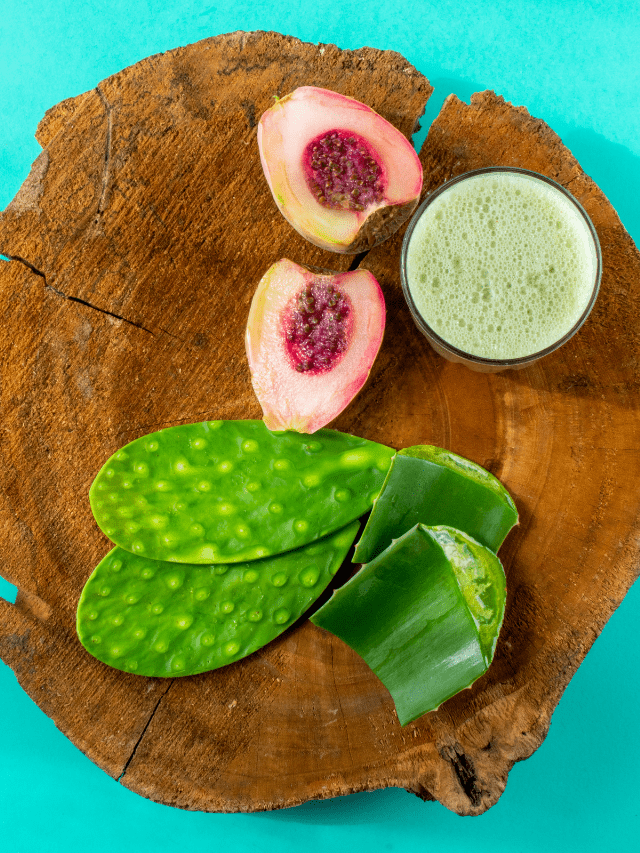 17 Foods that Start with X »