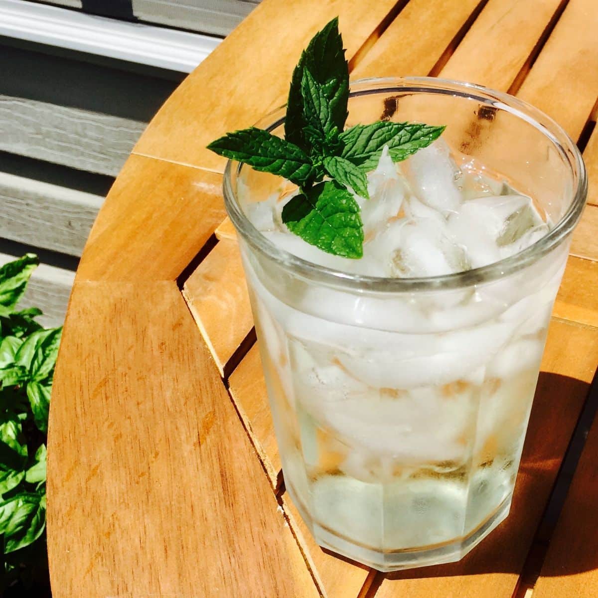How to Make Homemade Iced Mint Tea Recipe Idea Shop