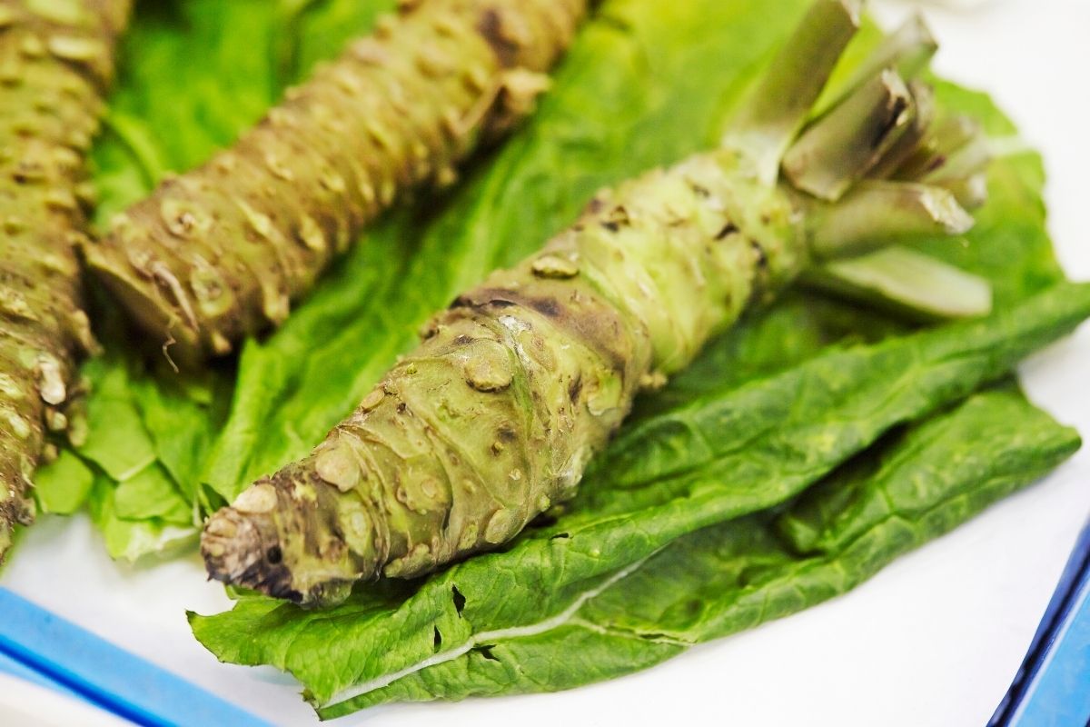 4 Best Horseradish Substitutes (Updated 2024)