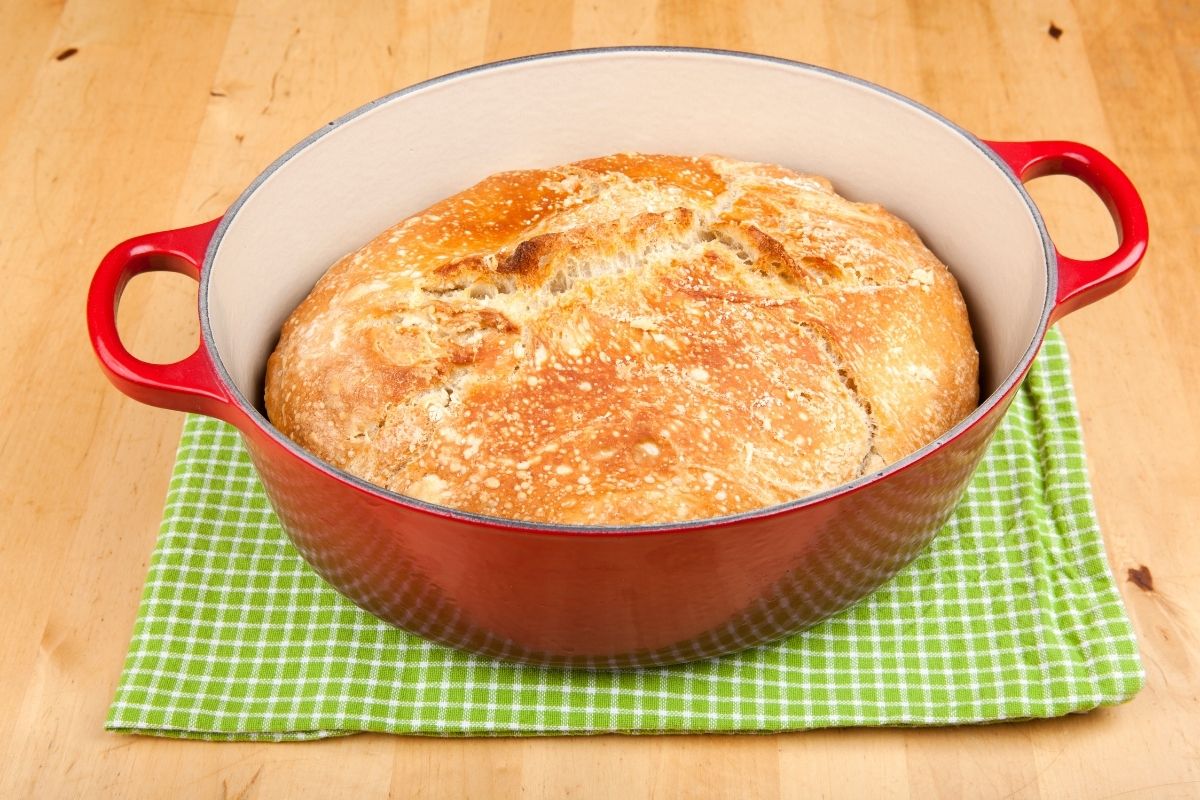 Can All Pots Go in the Oven? Let's Find Out! (Updated 2024)