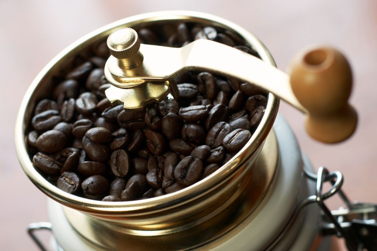 Best 9 Food Processor Substitutes (Updated 2024)