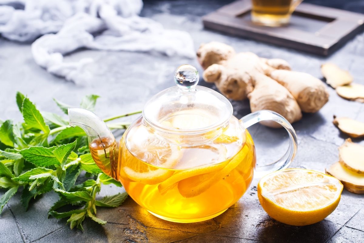 Fat Burning Tea Recipe for Weight Loss (Updated 2024)