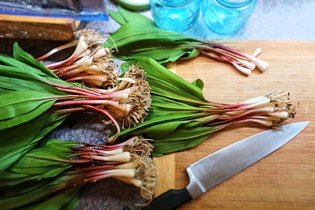 7 Best Leek Substitutes for Cooking (Updated 2024)