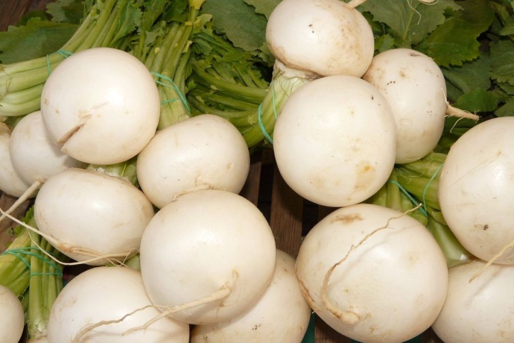 5 Best Substitutes for Parsnips (Updated 2024)