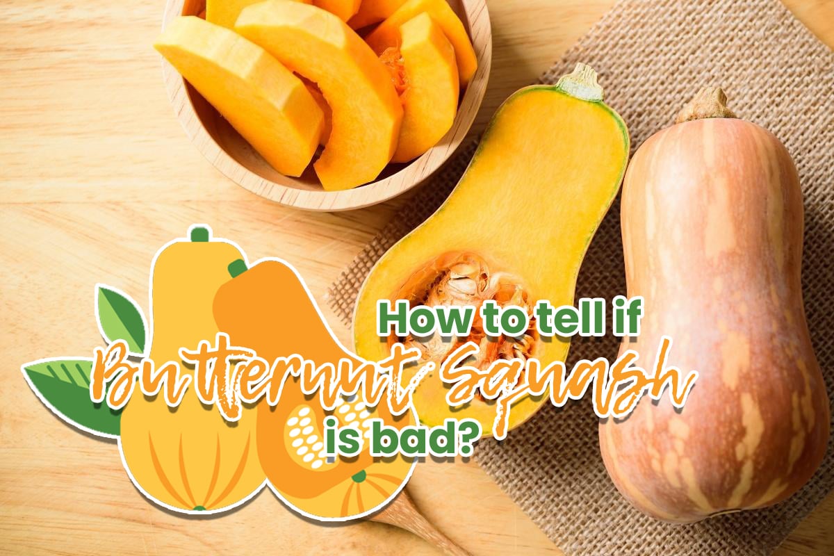 How to Tell If Butternut Squash is Bad? (Updated 2024)