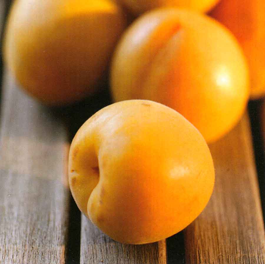 How to Choose, How to Store, How to Use Apricots RecipeMatic