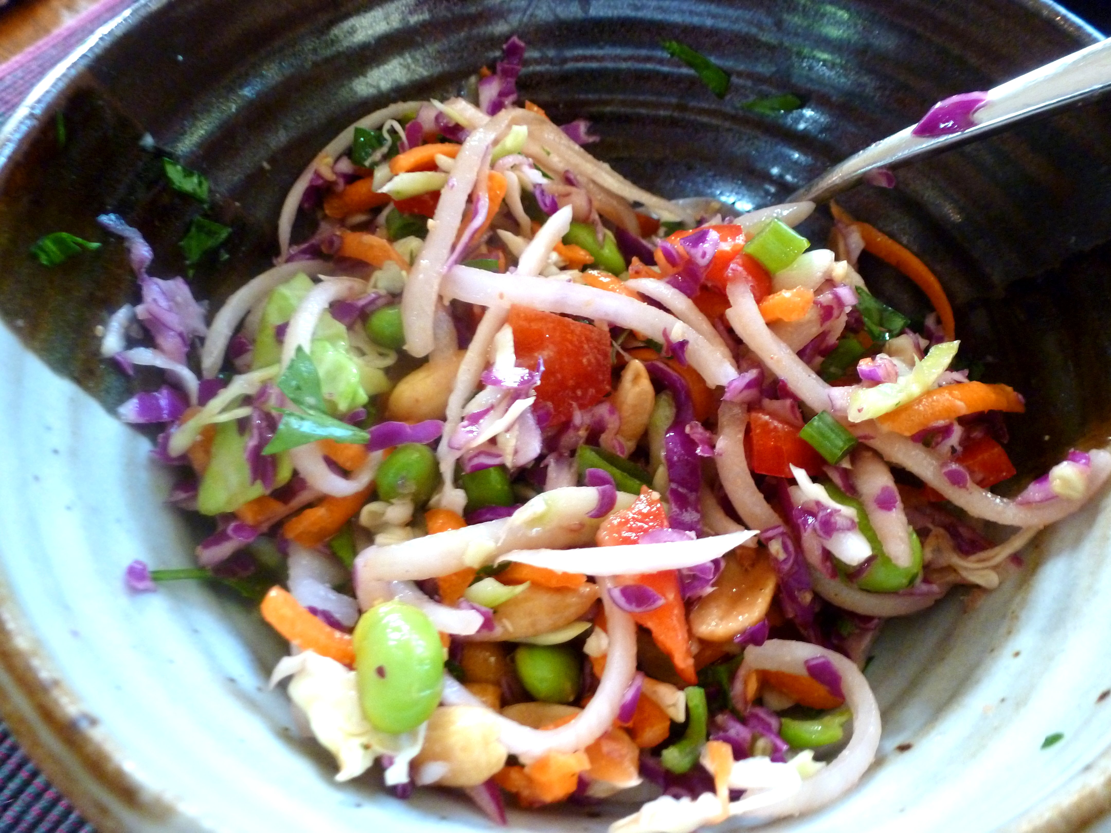 Asian Slaw with Peanut Butter Dressing Saladmaster Recipes