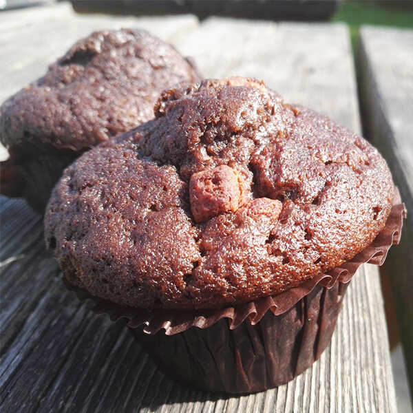 Eggless Chocolate Muffins Recipe How to Make Eggless Chocolate Muffins