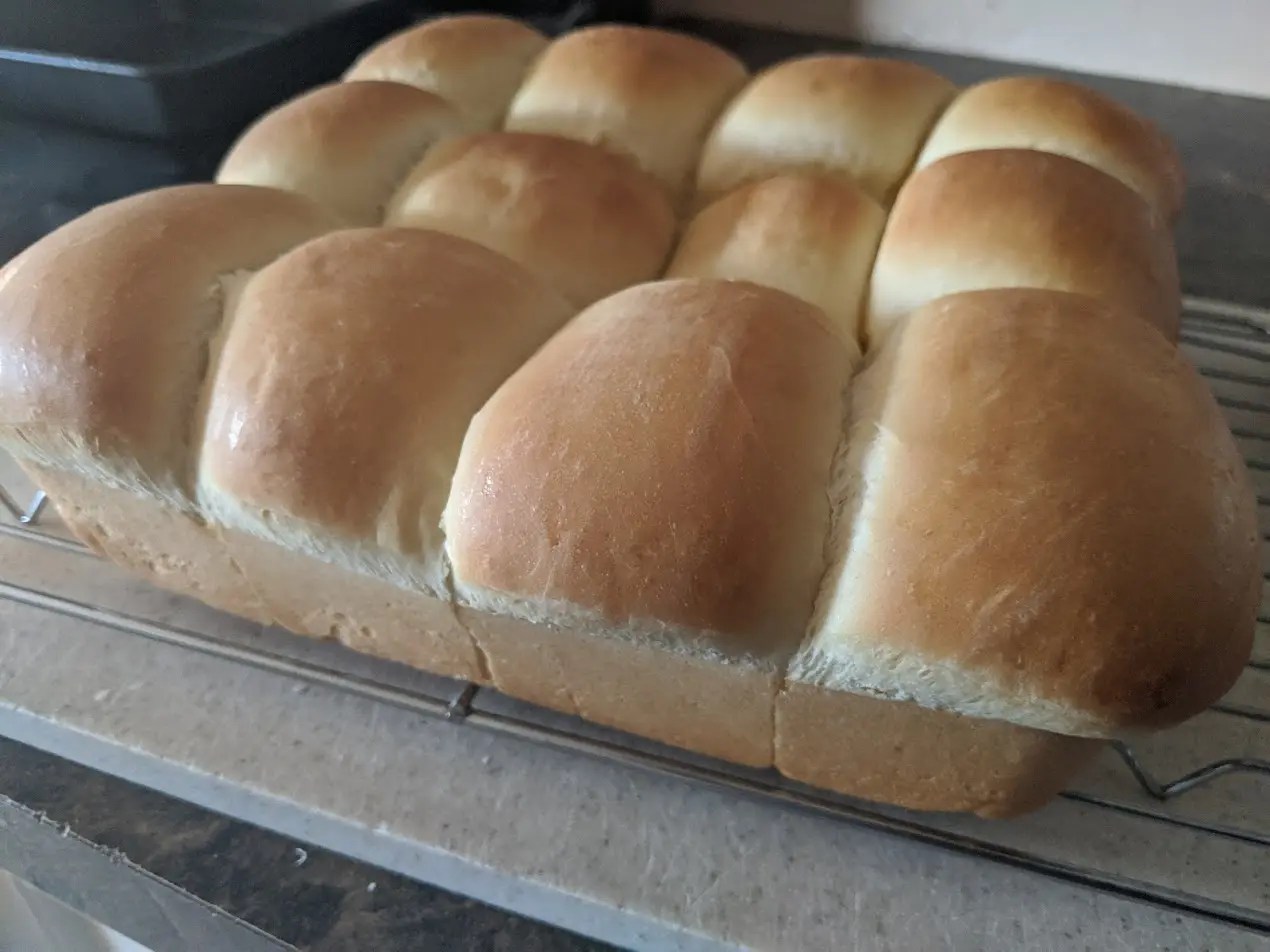Single Rise Bread Recipe Science