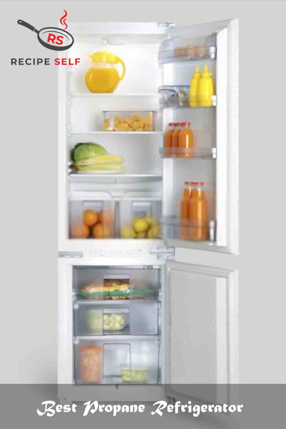 8 Best Propane Refrigerator ( Reviews & Buying Guide) 2023
