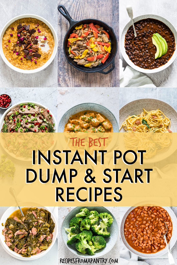 Instant Pot Dump And Start Recipes (That You'll Actually Love