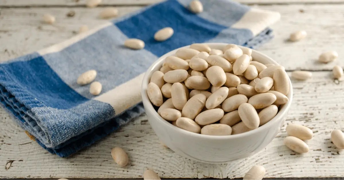 Are Cannellini Beans the Same as White Beans?