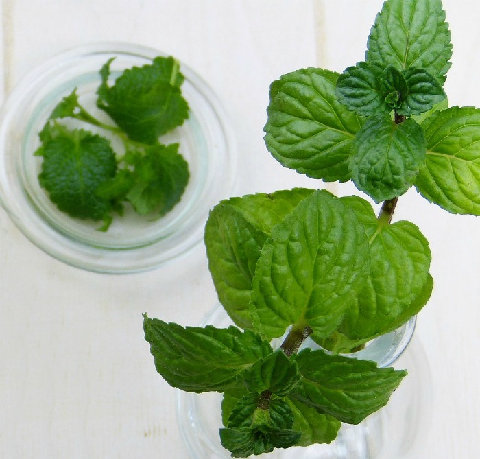 Fresh Herbs for Cooking A Cook's Guide to Fresh Herbs