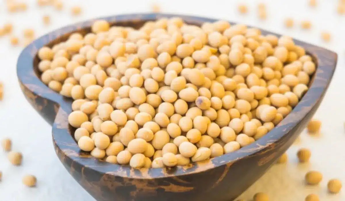 What Do You Eat With Garbanzo Beans? Recipes Smile