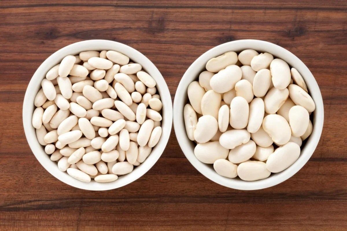 The Differences Between Butter Beans and Cannellini Beans RecipeStella