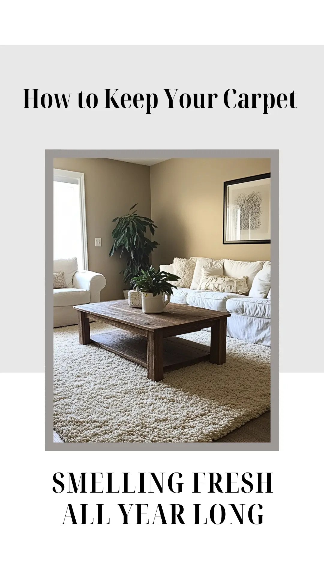 How to Keep Your Carpet Smelling Fresh All Year Long Recipes Time