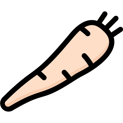 Jicama Substitutes Recipe Sub