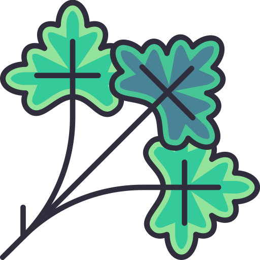 Coriander Powder Substitutes Recipe Sub