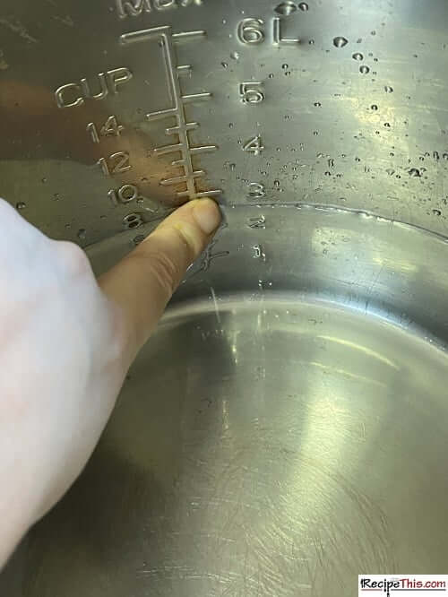 Recipe This Instant Pot Water Test