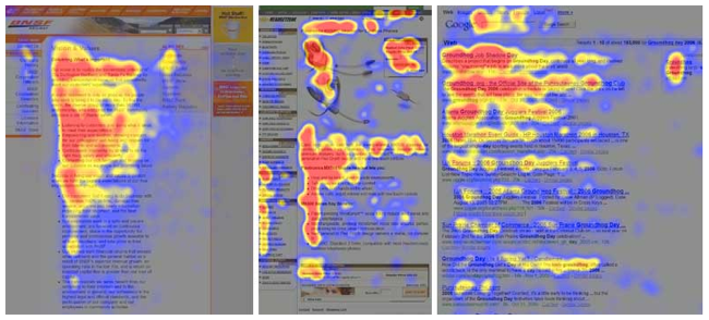 Eyetracking web usability, Jakob Nielsen, Kara Pernice