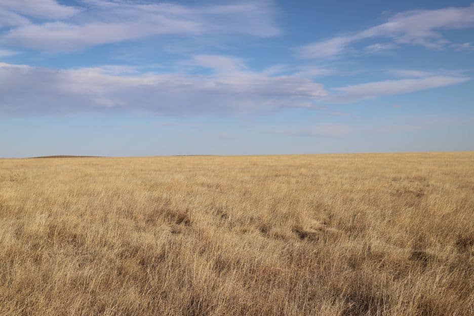 Beatrice Harwig Land for Sale Reck Agri