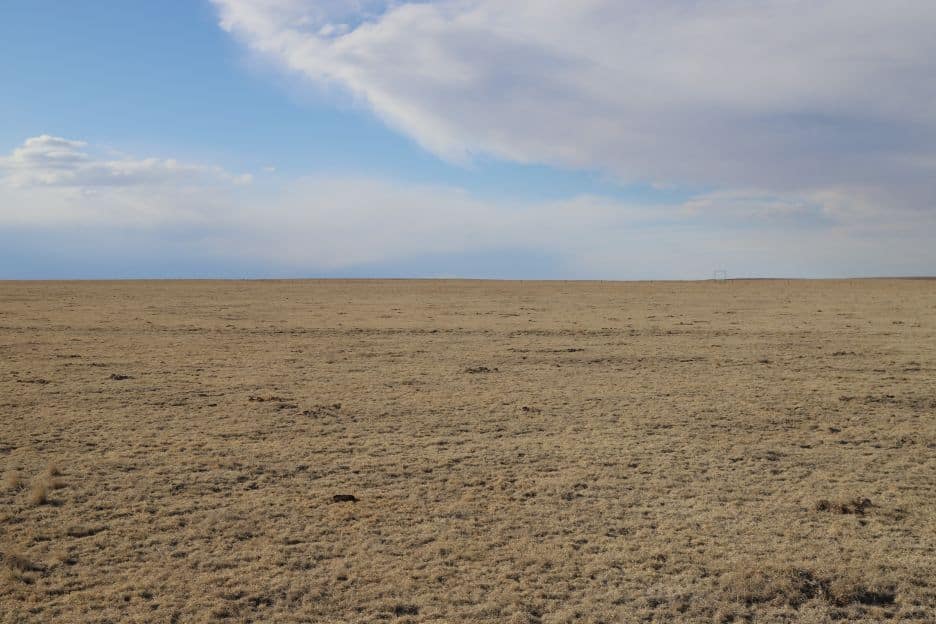 Beatrice Harwig Land for Sale Reck Agri