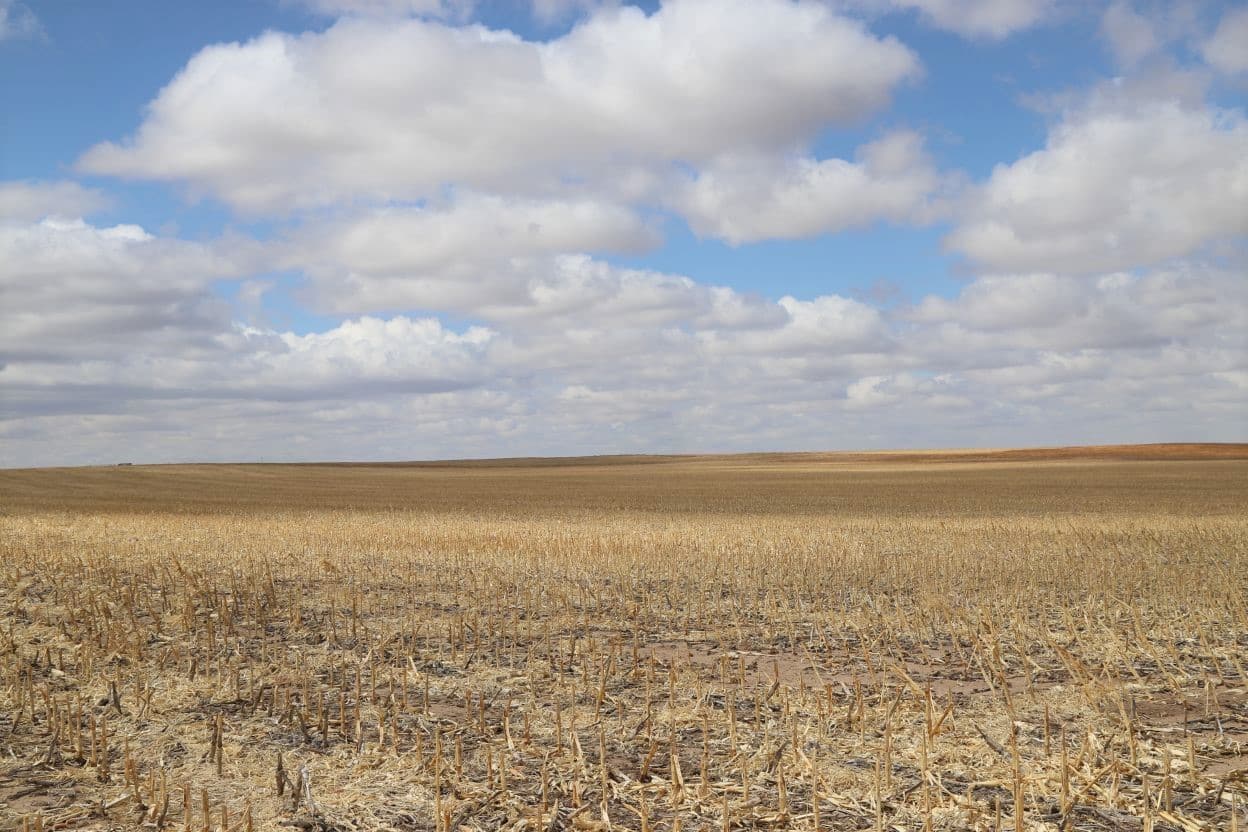 SW Sedgwick County Dryland Auction Reck Agri